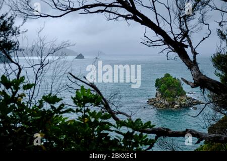 Vista dal Pitt Head Lookout, Parco Nazionale Abel Tasman, South Island, Nuova Zelanda. Foto Stock