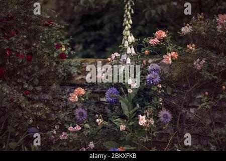 Giardino di campagna inglese Foto Stock