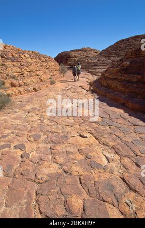 Cotterills Lookout deviazione sul Kings Canyon Rim Walk, Northern Territory, Australia Foto Stock
