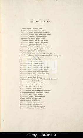 Illustrazioni della famiglia di Psittacidae, o pappagalli (1832) -indice page -di Edward Lear. Foto Stock