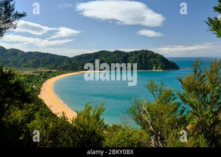 Spiaggia di Totaranui, Parco Nazionale di Abel Tasman, Isola del Sud, Nuova Zelanda. Foto Stock