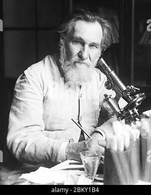 Ilya Ilyich Mechnikov 1913. Foto Stock