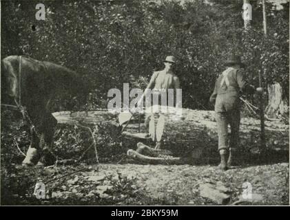 Immagine da pagina 176 di ‘Logging; i principi e i metodi generali di funzionamento negli Stati Uniti‘ (1913). Foto Stock