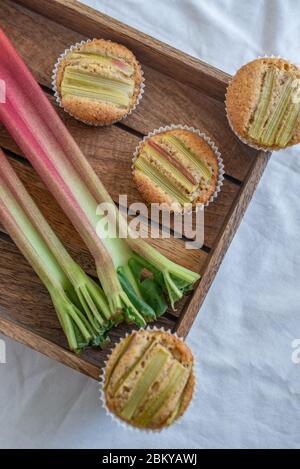 muffin al rabarbaro di mandorle fatte in casa Foto Stock