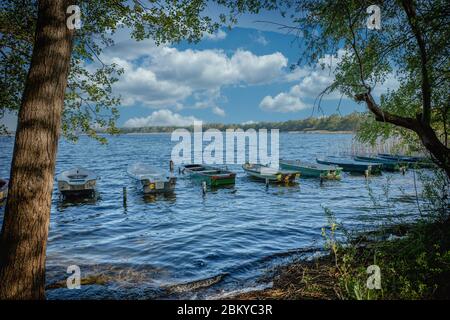 diverse piccole barche a remi sono ormeggiate fianco a fianco al bordo di un lago Foto Stock