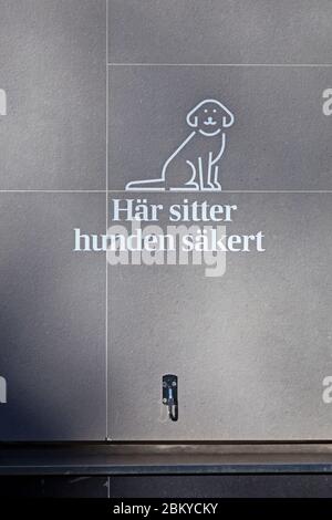 Umea, Norrland Svezia - 23 marzo 2020: Qui puoi tranquillamente guastare il tuo cane Foto Stock