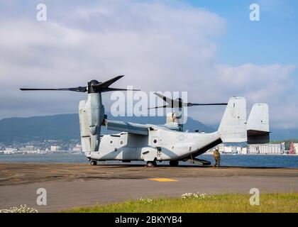 SASEBO, Giappone (4 maggio 2020) - UN MV-22B Osprey dai draghi di Marine Medium Tiltrotor Squadron (VMM) 265, la prima ala di velivoli marini, schierata a Okinawa, Giappone volò al comandante, attività di flotta Sasebo 4 maggio 2020. Il volo faceva parte di una missione di operazioni logistiche a sostegno del comandante, Task Force 76. (STATI UNITI Foto Navy di Mass Communication Specialist Seaman Applentice Jasmine Ikusebiala) Foto Stock