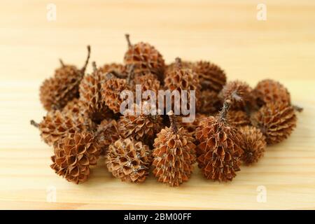 Mucchio di mini coni di pino secco naturale sullo sfondo di legno Foto Stock