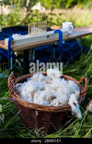 Lana di pecora cruda in un cesto di vimini e per essere intessuta in un tappeto su un telaio di legno del piolo che è, Kent, UK Foto Stock