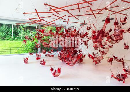 Park, Inhotim Institute Museo d'arte contemporanea, Brumadinho, Minas Gerais stato, Brasile Foto Stock