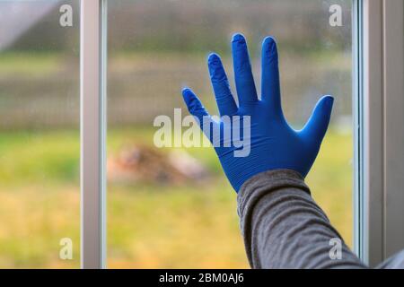 Le donne indossano guanti per uso medico accanto alla finestra interna. Isolamento domestico. Virus Corona. Rimani a casa. Foto Stock