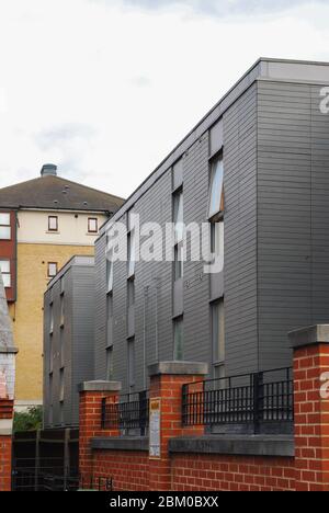 Modern 2000s iridescente colori a basso costo conveniente Peabody Homes Houses on Evelyn Road, Newham, London E16 1TU by Niall McLaughlin Architects Foto Stock