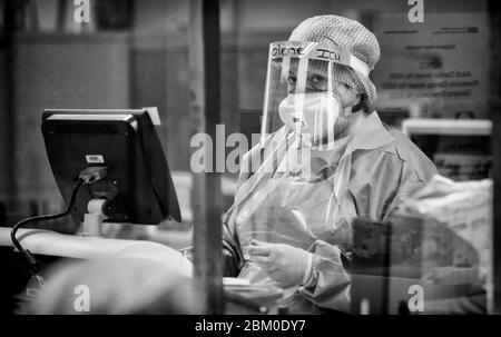 Un membro del team di terapia intensiva tratta i pazienti di Covid-19 presso il Craigavon Area Hospital di Co Armagh, Irlanda del Nord. Foto Stock