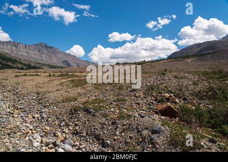 Vista sul ghiacciaio dell'Athabaska durante la stagione estiva, Jasper National Park, Alberta, Canada Foto Stock