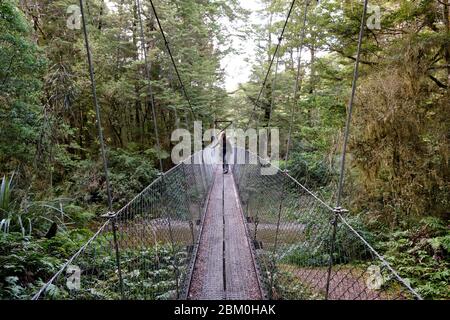 Donna che attraversa un ponte sospeso su un ruscello sulla pista Kepler. Foto Stock