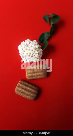 Vista dall'alto dei piccoli fiori bianchi di lantana camara, accompagnati da un paio di biscotti su sfondo rosso. Foto Stock