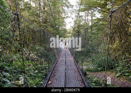 Donna che attraversa un ponte sospeso su un ruscello sulla pista Kepler. Foto Stock