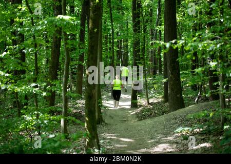 Una coppia in camicie verdi fluorescenti jogging sul percorso forestale Foto Stock