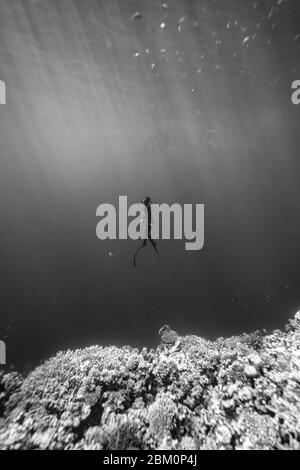 Ragazza Freediving a Blue Hole Dahab - Egitto Foto Stock