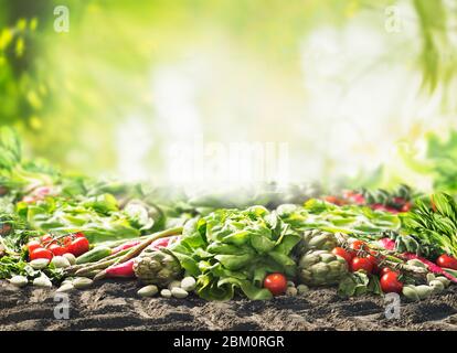 Gruppo di varie raccolta di verdure biologiche sul terreno al sole giardino estivo verde sfondo natura. Veggies crescente. Eco food. Pomodoro, lattuga, r Foto Stock