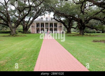 Antiche querce a Oak Alley Plantation, Vacherie, Louisiana, Stati Uniti d'America Foto Stock