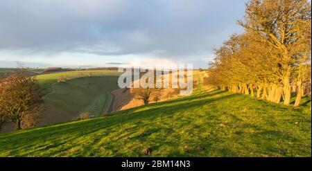 Vista della valle asciutta di Waterdale da Beamer Hill vicino Thixendale nelle Yorkshire Wolds dal percorso a lunga distanza Yorkshire Wolds Way Foto Stock