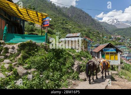 Vista sul villaggio dell'Himalaya con le montagne innevate sullo sfondo Foto Stock