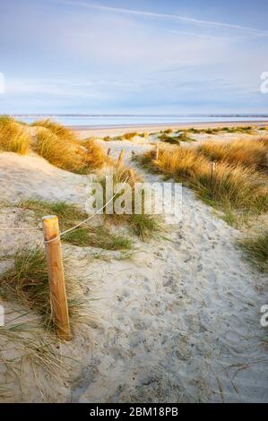 Un percorso che conduce attraverso il sistema delle dune a East Head, West Wittering Foto Stock