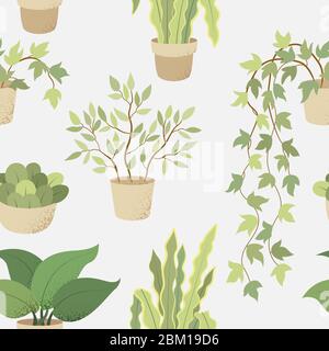 Veclor modello senza cuciture con piante interne su sfondo bianco Illustrazione Vettoriale