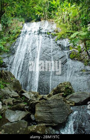 Cascate la Coca, cascate nella Foresta Nazionale di El Yunque sull'isola caraibica di Puerto Rico Foto Stock