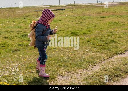 Kalo, Danimarca - 02 maggio 2020: Ragazza con zaino raccoglie fiori su un  campo di erba. Ragazza in giacca blu e stivali di gomma rosa Foto stock -  Alamy