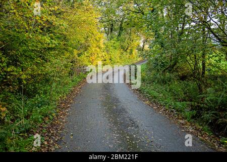 Dietro l'angolo Foto Stock