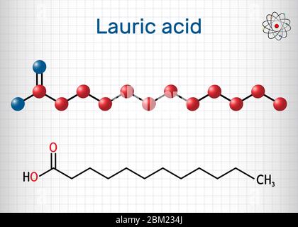 Acido laurico, acido dodecanoico, molecola C12H24O2. È un acido grasso saturo. Formula chimica strutturale e modello di molecola. Foglio di carta in un cag Illustrazione Vettoriale