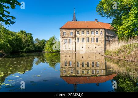 Wasserburg Burg Lüdinghausen, Münsterland, Nordrhein-Westfalen, Deutschland, Europa | Castello di Luedinghausen, Muensterland, Reno del Nord Foto Stock