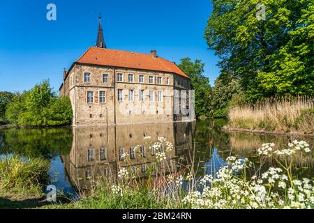 Wasserburg Burg Lüdinghausen, Münsterland, Nordrhein-Westfalen, Deutschland, Europa | Castello di Luedinghausen, Muensterland, Reno del Nord Foto Stock