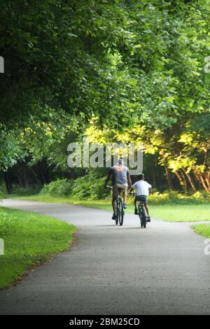 Padre e figlio a cavallo biciclette nel parco Foto Stock