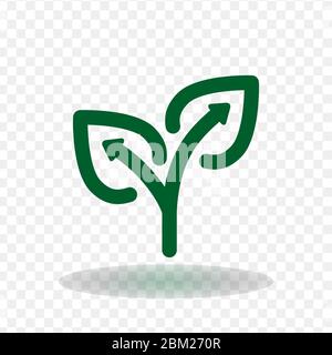 Pianta cresce frecce icona. Profilo pianta cresce frecce icona vettoriali per il web design isolato su sfondo bianco Illustrazione Vettoriale