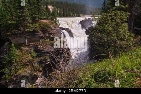 Vista delle cadute dell'Athabaska, Japer National Pak, Alberta, Canada Foto Stock