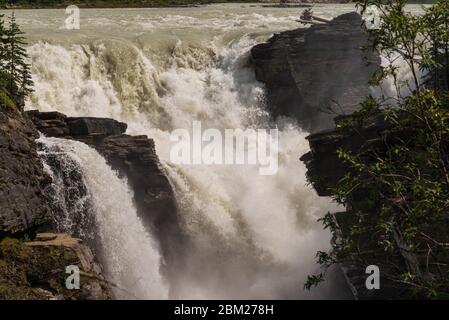 Vista delle cadute dell'Athabaska, Japer National Pak, Alberta, Canada Foto Stock