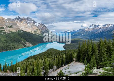 Peyto Lake nel Parco Nazionale di Banff, Canada Foto Stock