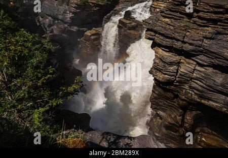 Vista delle cadute dell'Athabaska, Japer National Pak, Alberta, Canada Foto Stock