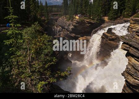 Vista delle cadute dell'Athabaska, Japer National Pak, Alberta, Canada Foto Stock