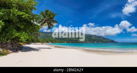 Paradise Sunny Beach con palme e oceano turchese in isola tropicale Foto Stock