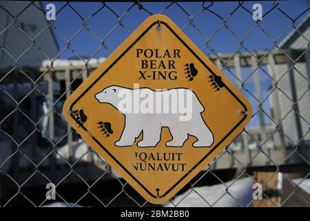 Orso polare che attraversa il cartello appeso su una recinzione a Iqaluit, Nunavut Foto Stock