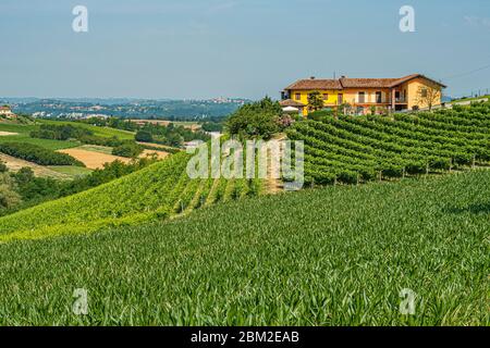 Vecchia casa sulla cima di una collina circondata da vigneti Foto Stock