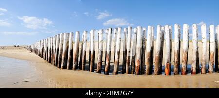 Cap Ferret/ Francia: Spiaggia con tronchi di legno che protegge le dune di Cap Ferret nella baia di Arcachon Foto Stock