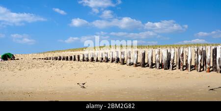 Cap Ferret/ Francia: Spiaggia con tronchi di legno che protegge le dune di Cap Ferret nella baia di Arcachon Foto Stock