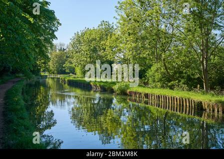 Il New River all'inizio dell'estate, vicino a Finsbury Park, North London, UK Foto Stock