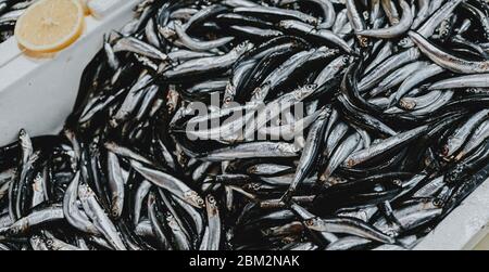 spratto di pesce crudo in una scatola sul mercato Foto Stock