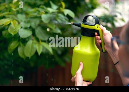 la ragazza spruzza piante nel giardino Foto Stock